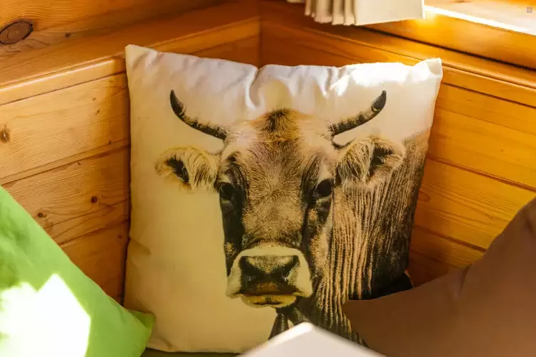 Berghütte "Alpe Halden" (20 Betten) und Blockhütte "Waldhäusle" (6